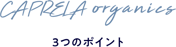 3つのポイント