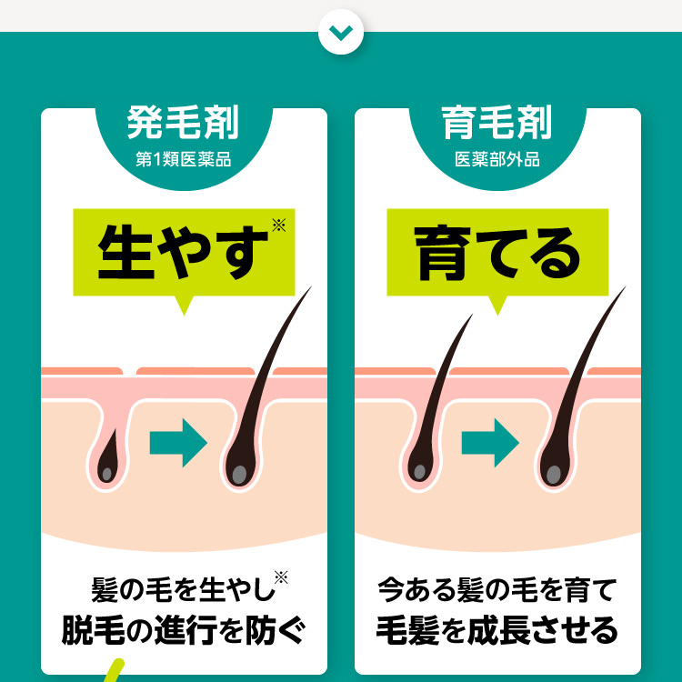 発毛剤 第1類医薬品 生やす※ 髪の毛を生やし※脱毛の進行を防ぐ 育毛剤医薬部外品 育てる 今ある髪の毛を育て毛髪を成長させる