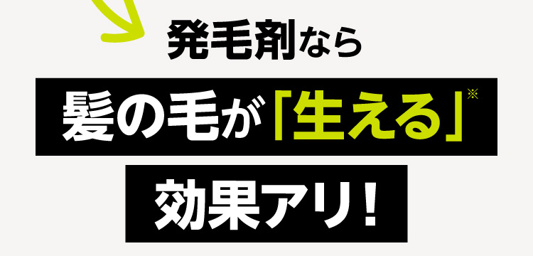 発毛剤なら髪の毛が「生える」※効果アリ!