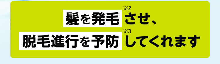 髪を発毛※2させ、脱毛進行を予防※3してくれます