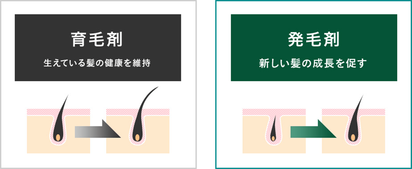 育毛剤生えている髪の健康を維持発毛剤新しい髪の成長を促す