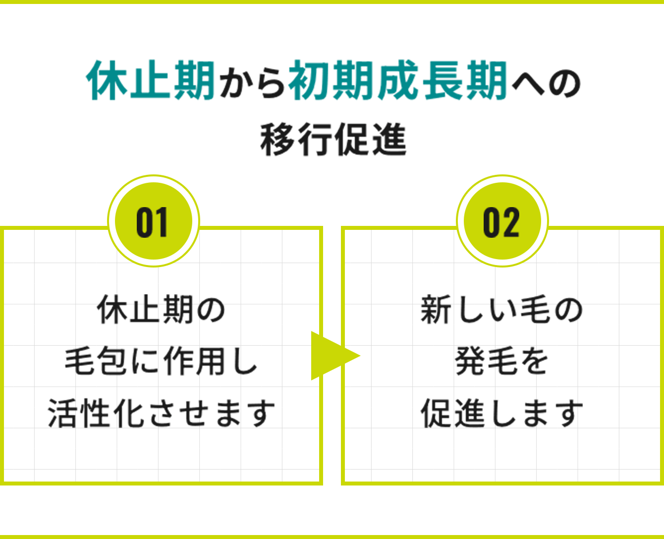 休止期から初期成長期への移行促進